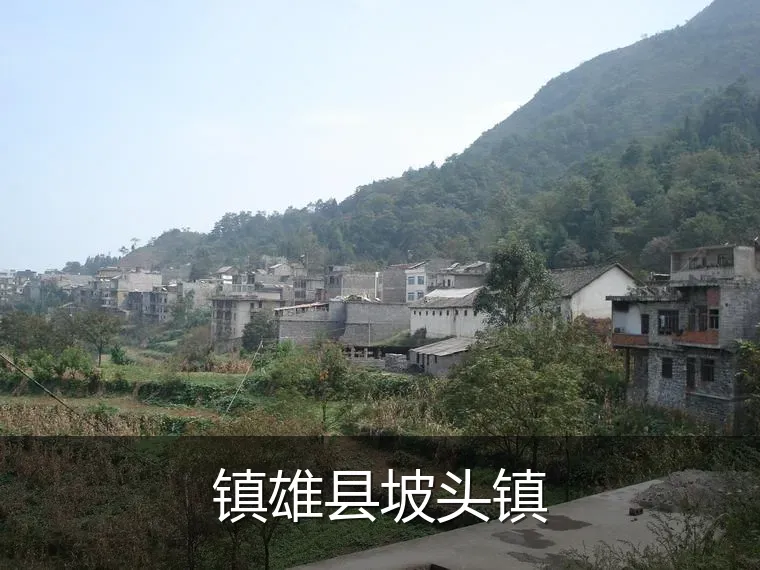镇雄县坡头镇
