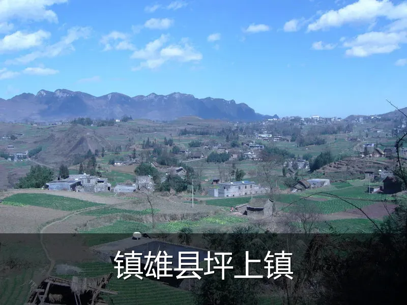 镇雄县坪上镇