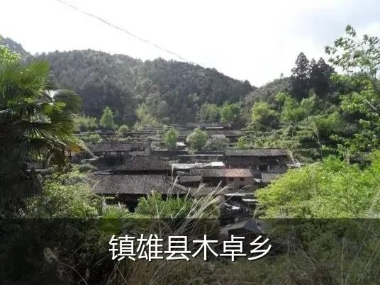 镇雄县木卓乡