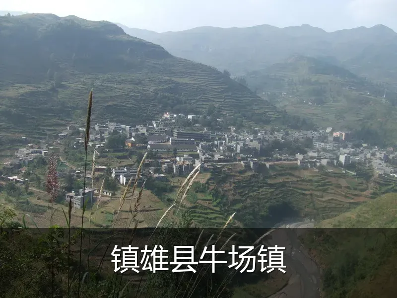 镇雄县牛场镇